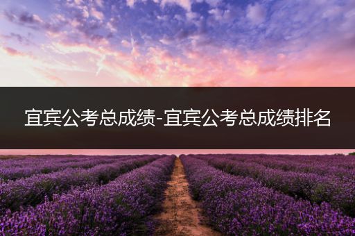 宜宾公考总成绩-宜宾公考总成绩排名