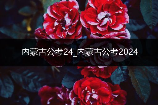 内蒙古公考24_内蒙古公考2024