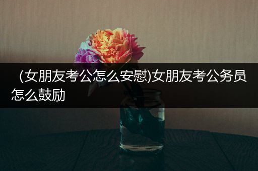 （女朋友考公怎么安慰)女朋友考公务员怎么鼓励