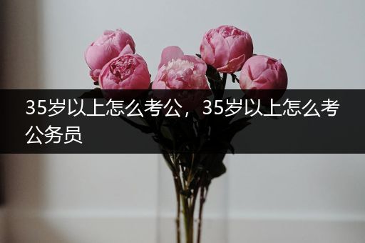 35岁以上怎么考公，35岁以上怎么考公务员