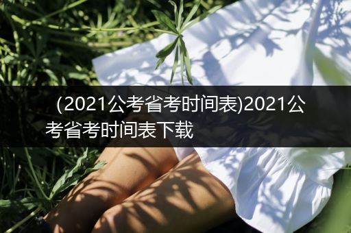 （2021公考省考时间表)2021公考省考时间表下载