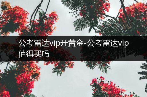 公考雷达vip开黄金-公考雷达vip值得买吗