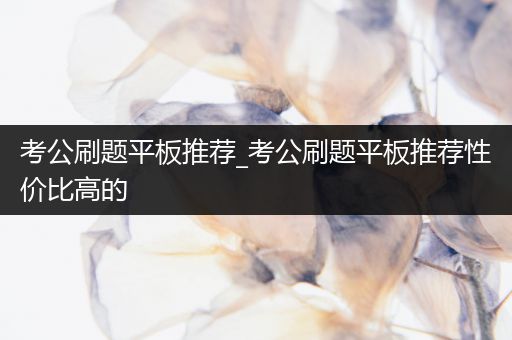 考公刷题平板推荐_考公刷题平板推荐性价比高的
