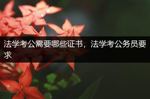 法学考公需要哪些证书，法学考公务员要求