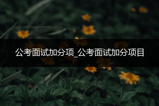 公考面试加分项_公考面试加分项目