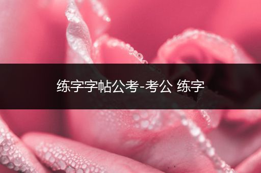 练字字帖公考-考公 练字