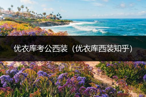 优衣库考公西装（优衣库西装知乎）