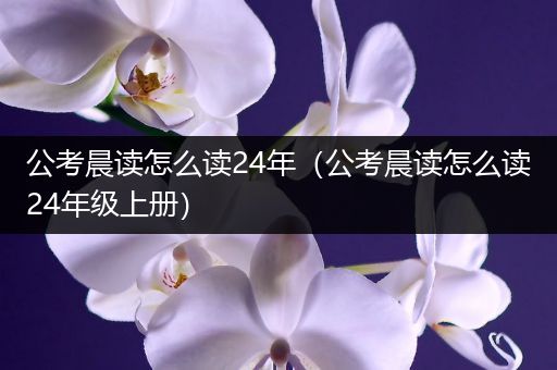 公考晨读怎么读24年（公考晨读怎么读24年级上册）