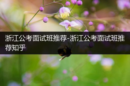 浙江公考面试班推荐-浙江公考面试班推荐知乎