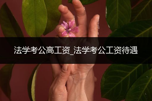 法学考公高工资_法学考公工资待遇