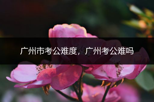 广州市考公难度，广州考公难吗