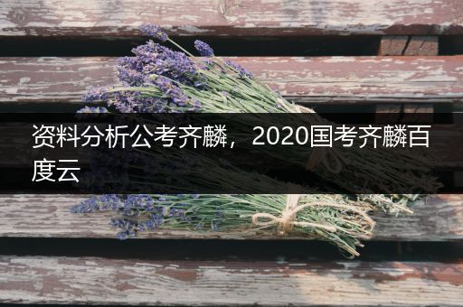 资料分析公考齐麟，2020国考齐麟百度云