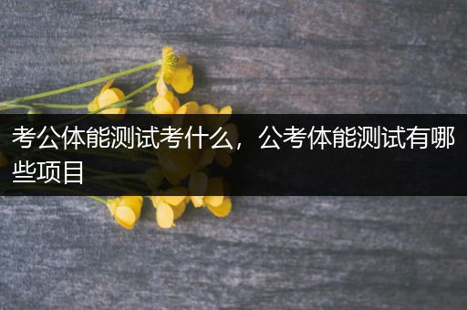 考公体能测试考什么，公考体能测试有哪些项目