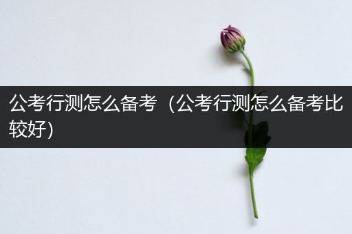 公考行测怎么备考（公考行测怎么备考比较好）