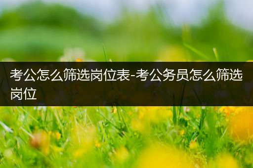 考公怎么筛选岗位表-考公务员怎么筛选岗位