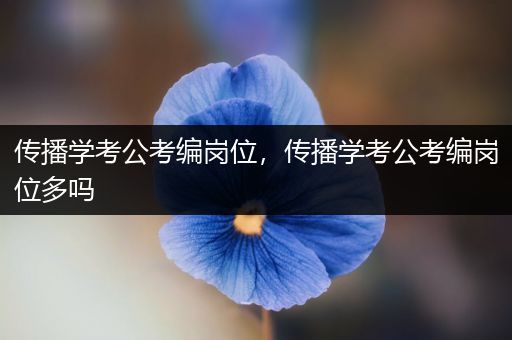 传播学考公考编岗位，传播学考公考编岗位多吗