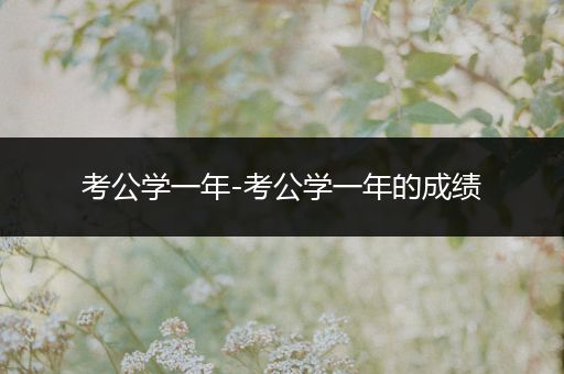 考公学一年-考公学一年的成绩