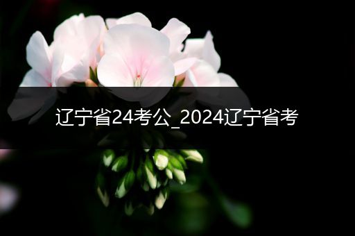 辽宁省24考公_2024辽宁省考