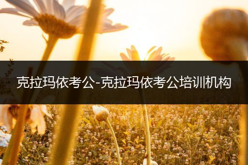 克拉玛依考公-克拉玛依考公培训机构