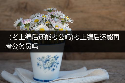 （考上编后还能考公吗)考上编后还能再考公务员吗