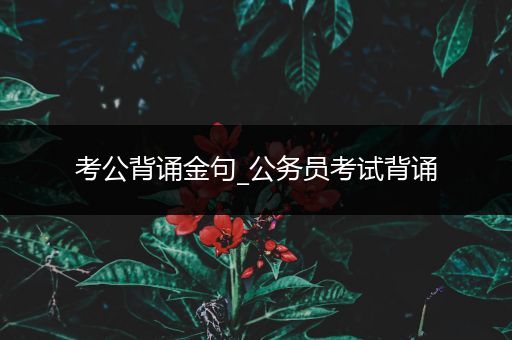 考公背诵金句_公务员考试背诵