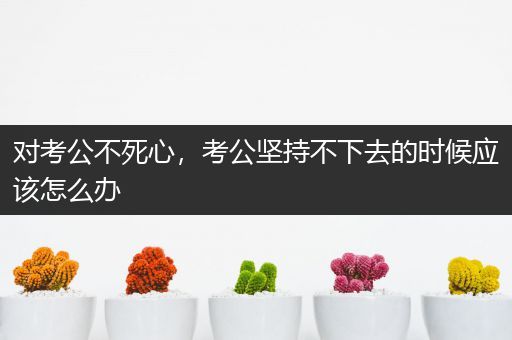 对考公不死心，考公坚持不下去的时候应该怎么办