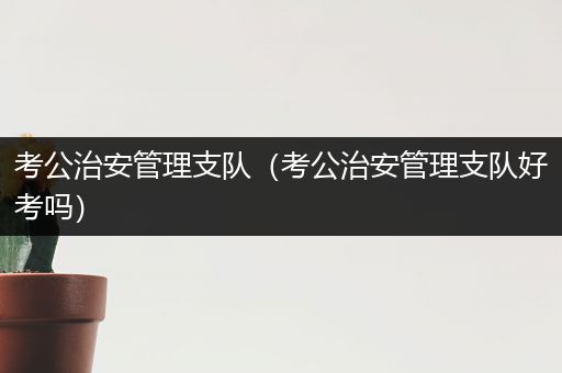 考公治安管理支队（考公治安管理支队好考吗）