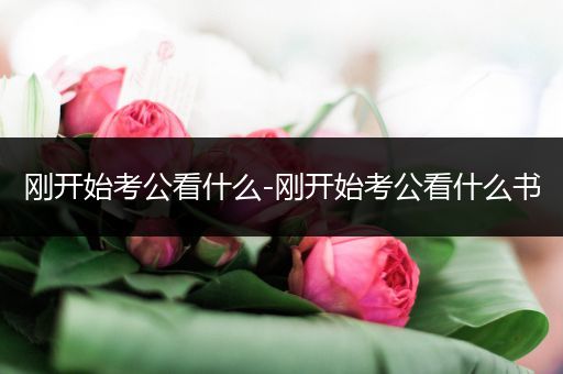 刚开始考公看什么-刚开始考公看什么书