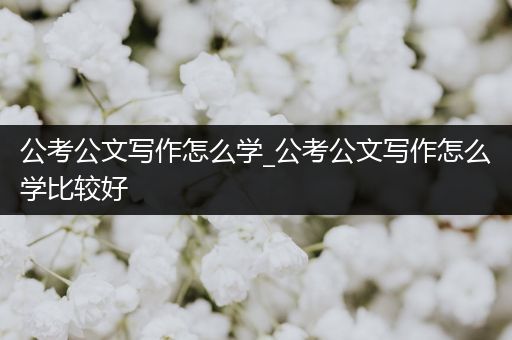 公考公文写作怎么学_公考公文写作怎么学比较好