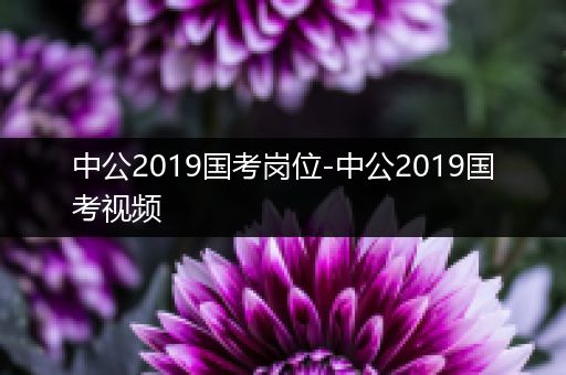 中公2019国考岗位-中公2019国考视频