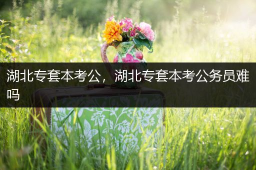 湖北专套本考公，湖北专套本考公务员难吗