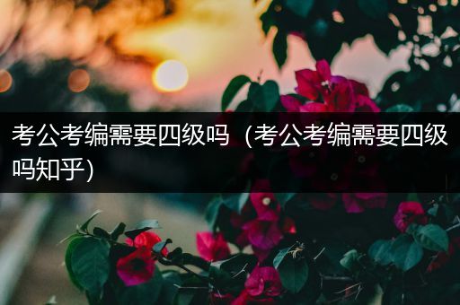 考公考编需要四级吗（考公考编需要四级吗知乎）