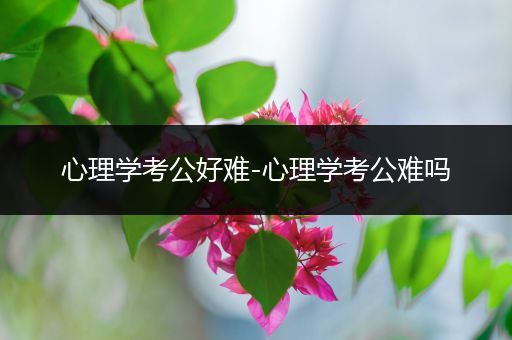 心理学考公好难-心理学考公难吗