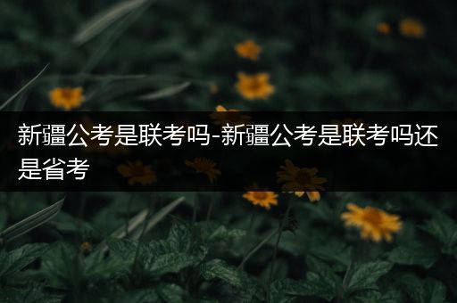 新疆公考是联考吗-新疆公考是联考吗还是省考
