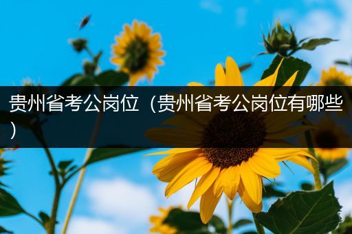 贵州省考公岗位（贵州省考公岗位有哪些）
