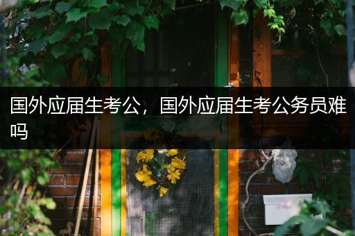 国外应届生考公，国外应届生考公务员难吗
