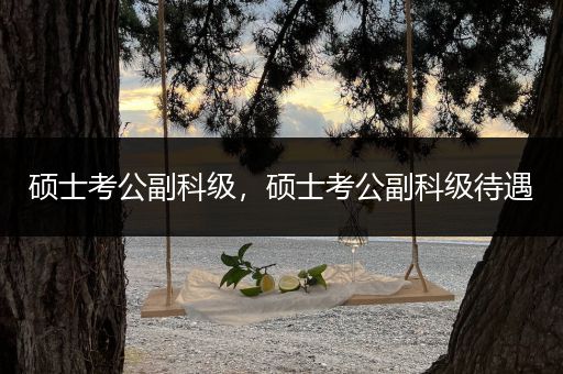 硕士考公副科级，硕士考公副科级待遇