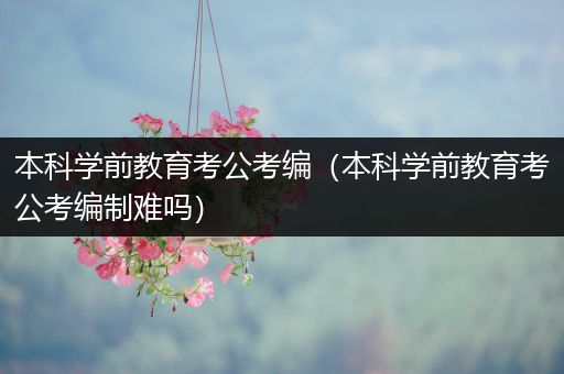 本科学前教育考公考编（本科学前教育考公考编制难吗）