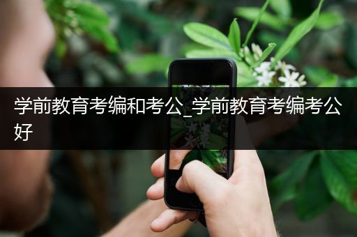 学前教育考编和考公_学前教育考编考公好
