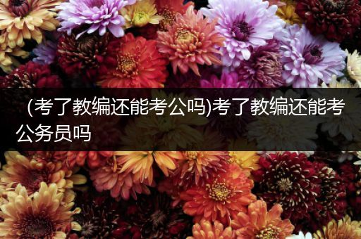 （考了教编还能考公吗)考了教编还能考公务员吗