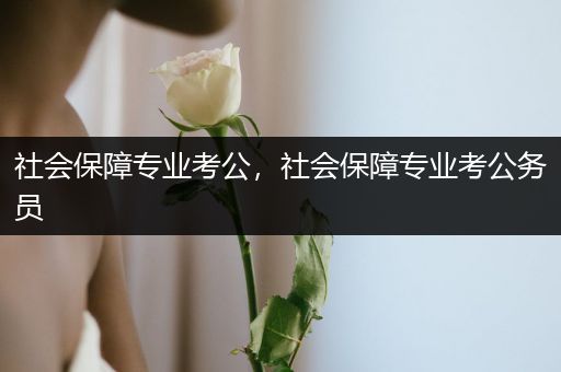 社会保障专业考公，社会保障专业考公务员