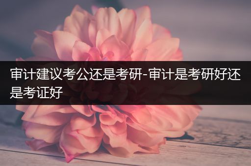 审计建议考公还是考研-审计是考研好还是考证好