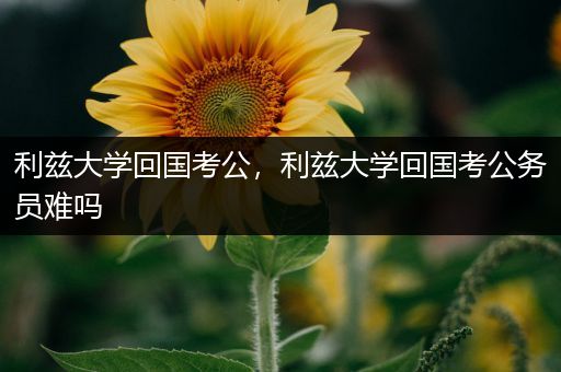 利兹大学回国考公，利兹大学回国考公务员难吗