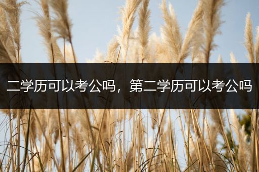 二学历可以考公吗，第二学历可以考公吗