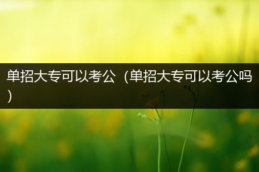 单招大专可以考公（单招大专可以考公吗）