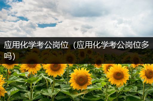 应用化学考公岗位（应用化学考公岗位多吗）