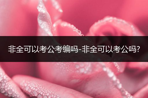 非全可以考公考编吗-非全可以考公吗?