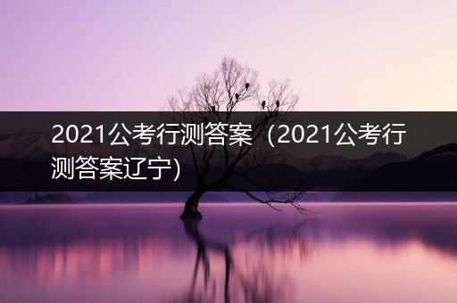 2021公考行测答案（2021公考行测答案辽宁）