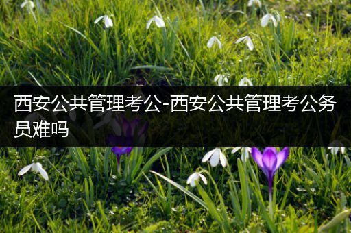 西安公共管理考公-西安公共管理考公务员难吗