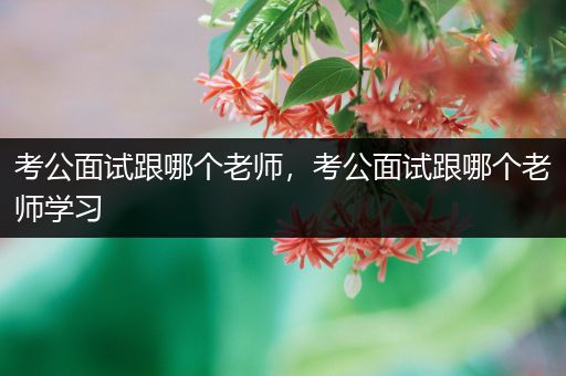 考公面试跟哪个老师，考公面试跟哪个老师学习